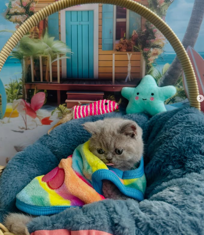 Captura de tela 2025-09-14 140502