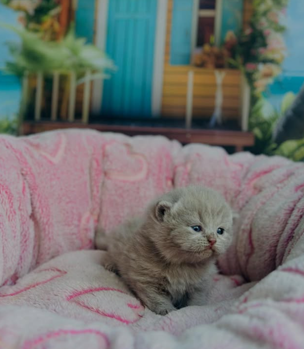 Captura de tela 2025-09-14 140510