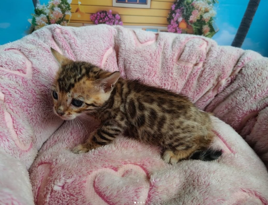 Captura de tela_14-9-2025_131148_www.instagram.com