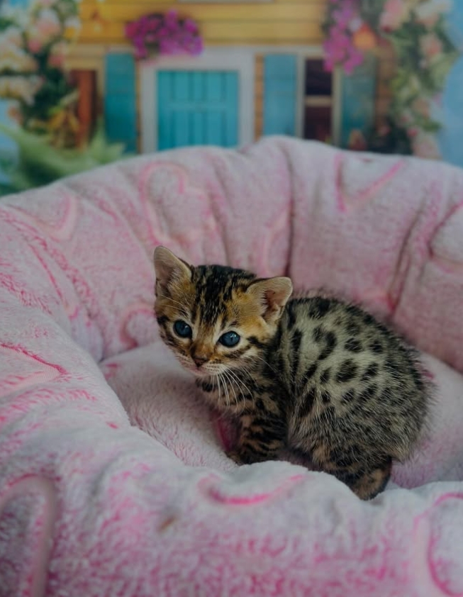 Captura de tela_14-9-2025_131225_www.instagram.com